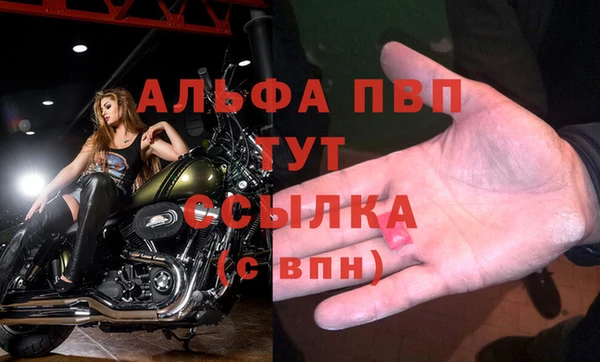 дживик Нефтегорск
