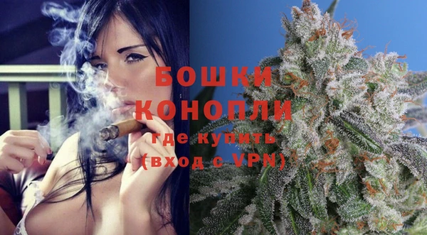 дурь Нея
