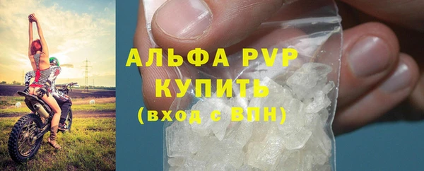стаф Нефтекумск